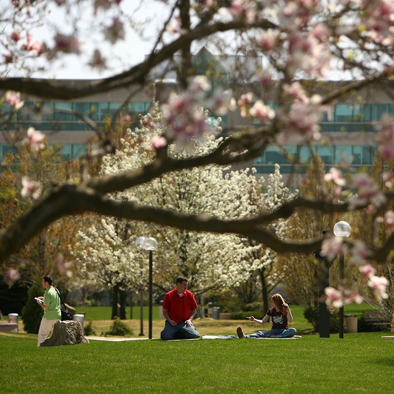 People sit on a lawn amid flowering trees on the Indiana University South Bend campus